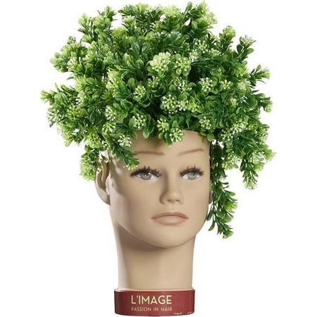 LImage Planters head